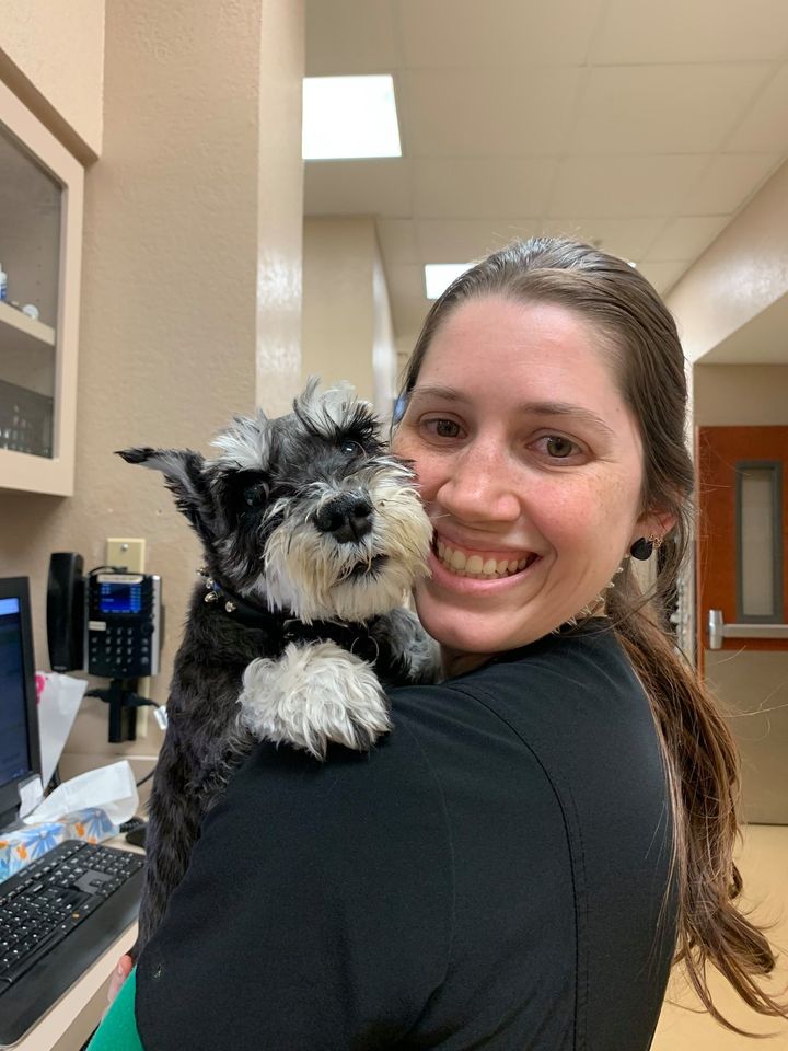 Top Rated Veterinary Specialists in Gilbert, AZ I Desert Veterinary